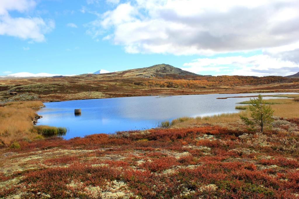 Hovringen Hogfjellshotell Buitenkant foto